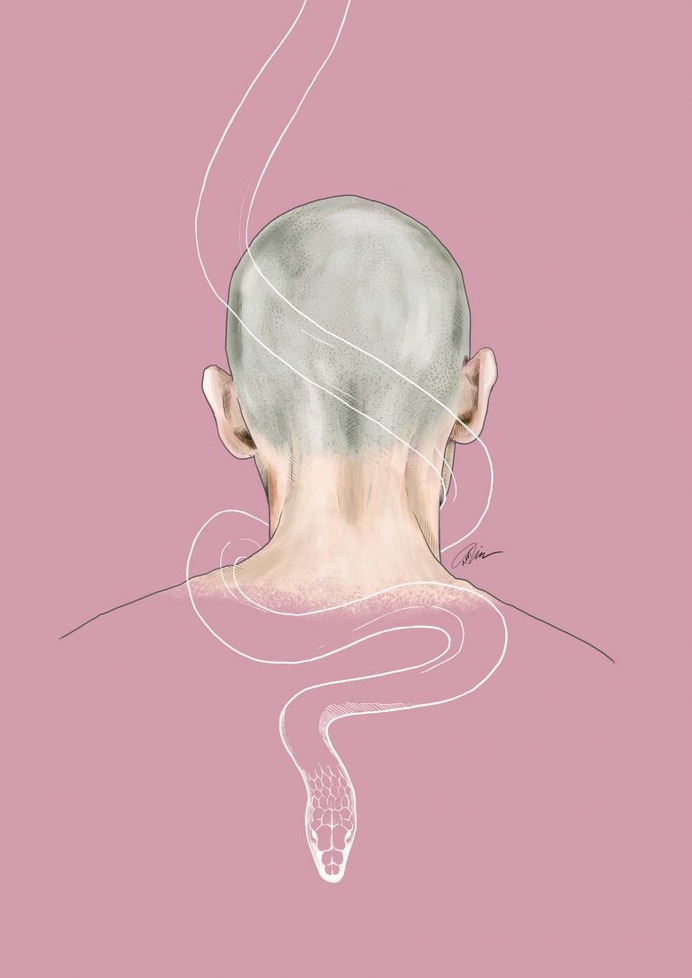Snake – TOTEM