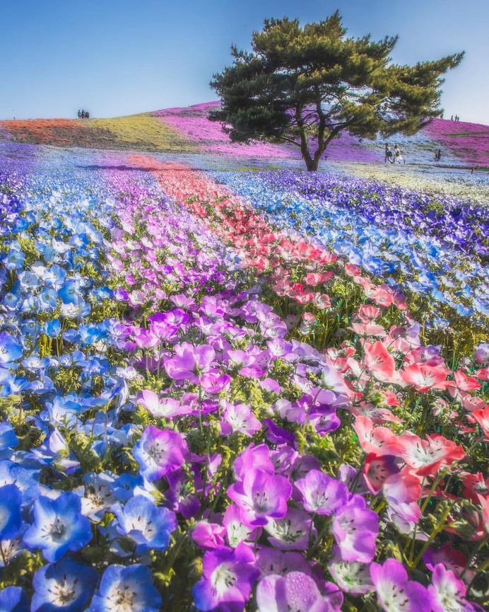 Takahiro Hosoe Captures The Beauty of Japan in Winter