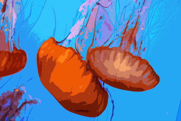 easy jellyfish painting & jellyfish paint by numbers #painting