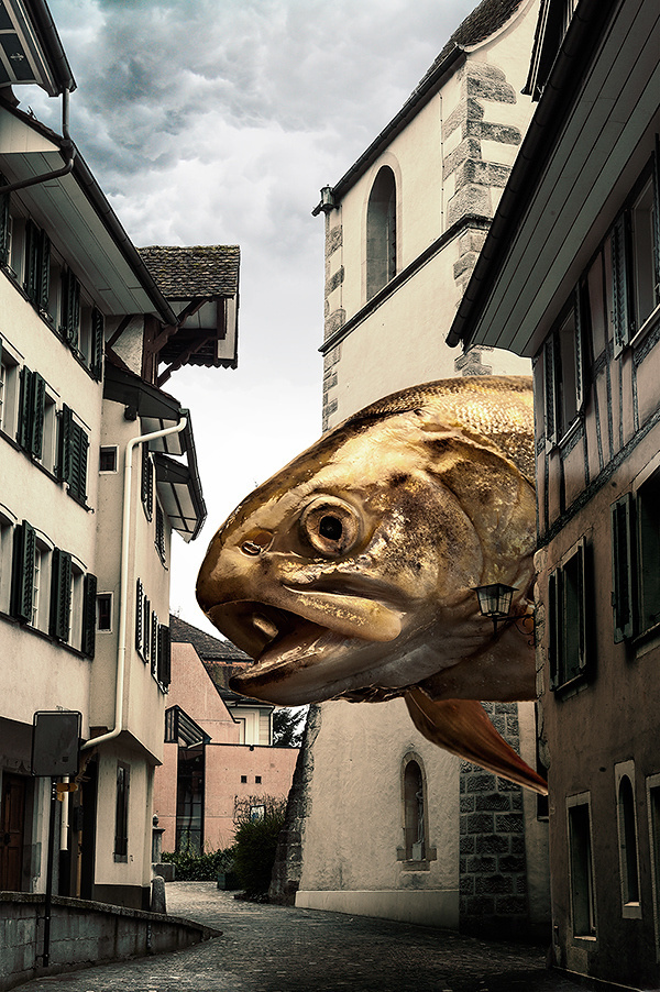Die Obdachlosikgkeit der Fische on Behance #fisch #swiss #fish #fotografie #zug #composing