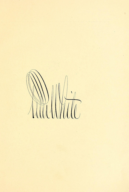 Peter White #lines