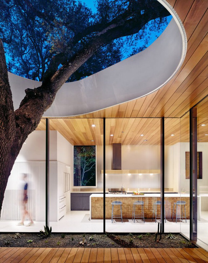 Constant Springs Residence – A Home Built Around a Tree