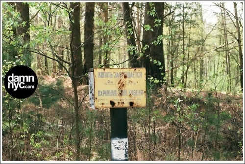 damn nyc - pictures #damnnyc #analog #damn #photo #photography #nyc