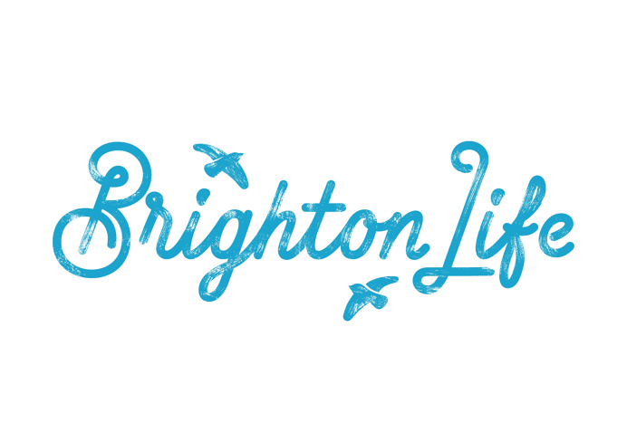 #typography #type #lettering #script #monoline #blue #brighton #birds #logo #brand #brandmark #branding #identity #ident #texture #italic #l