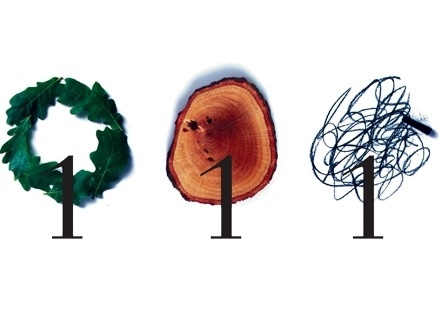 TheChase - Manchester London Preston #tree #the #chase #one #logo