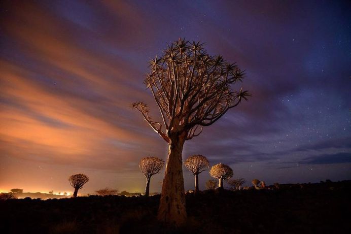 Beautiful Nature Photography by National Geographic Photographer Michael Melford
