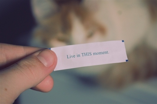 4704020787_b9e57dff02_b.jpg (JPEG Image, 1024x683 pixels) - Scaled (83%) #fortune #photography #hand #cat