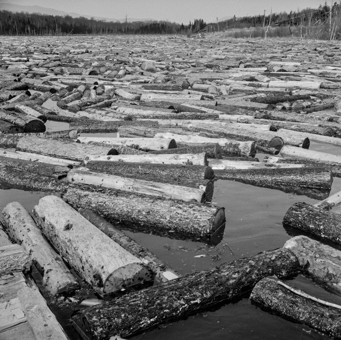 Gritty 1943 photos record Maine woodsmen on a dangerous spring lumber drive