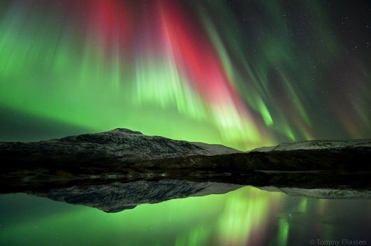 500px / Photo #sky #aurora #photo #lights #photograph #stars #arctic