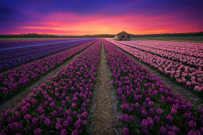 Albert Dros Captures the Beauty of Netherlands Through Stunning Landscapes