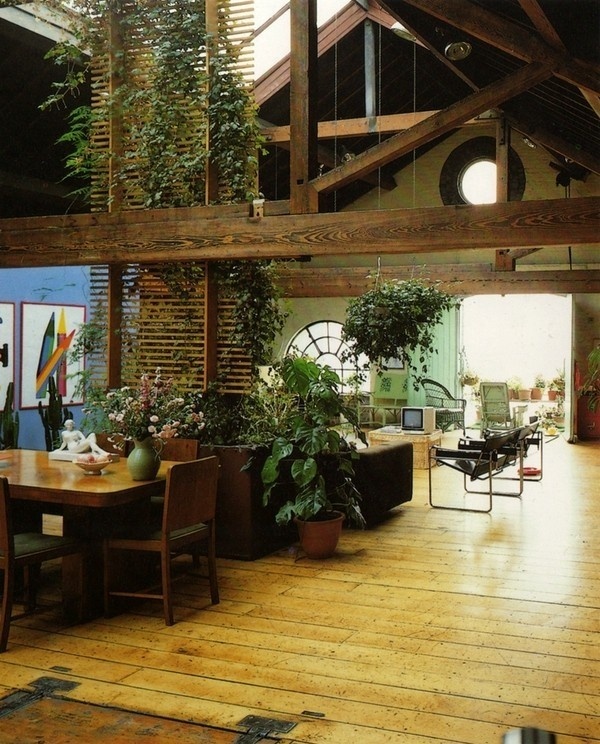 plant