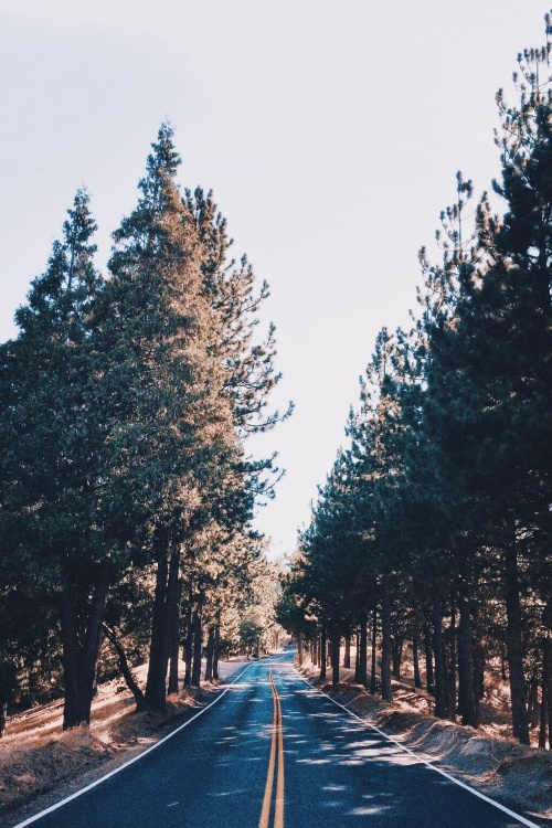 Likes | Tumblr #inspiration