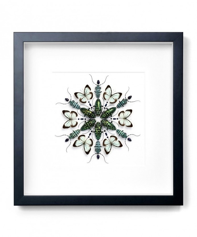 Christopher Marley Pheromone Design #bugs