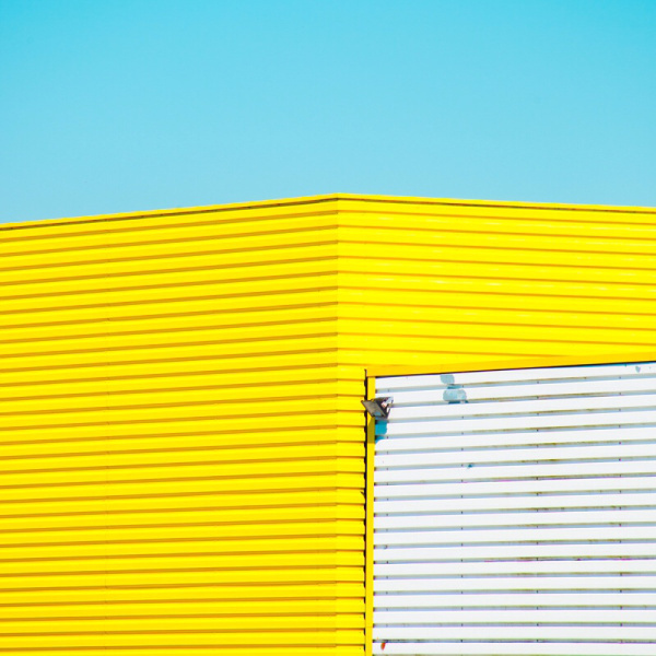 Matthieu Venot | PICDIT