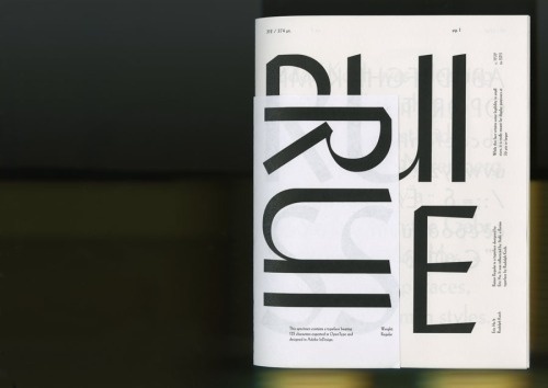 mindthat: Eric Hu: Ruisse #print