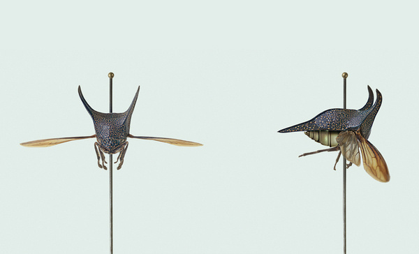 Vincent Fournier: Engineered Species — Collate #color