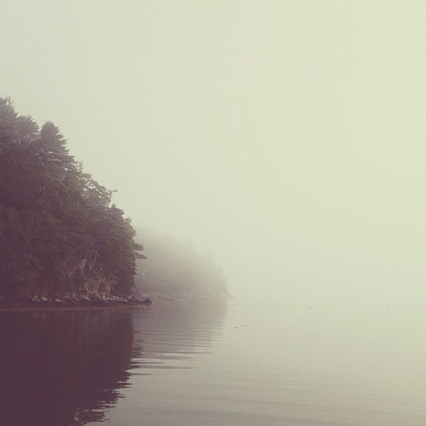 life serial #diffuse #fog