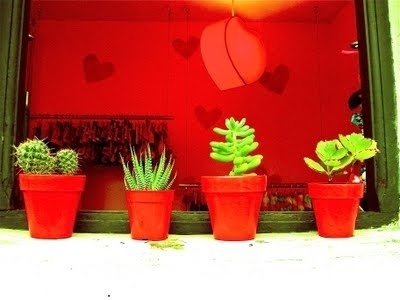 emoving*: Essential Córdoba (Argentina) #red #handcraft #argentina #shop #pot #photography #cactus