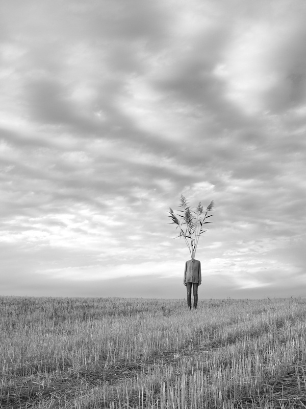 CJWHO ™ (Tree People by Marko Prelic Surreal portraits of...) #design #landscape #photography #art #surreal
