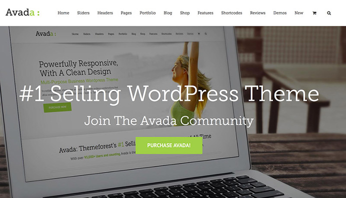 A must have Selling wordpress theme