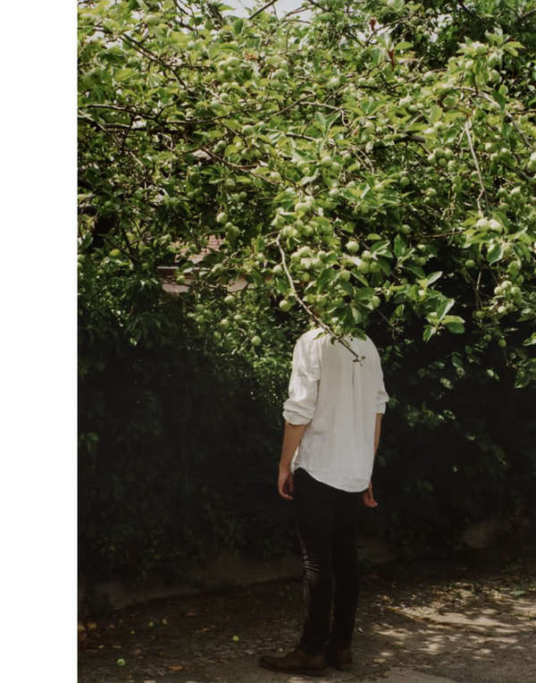 Helen Korpak #tree