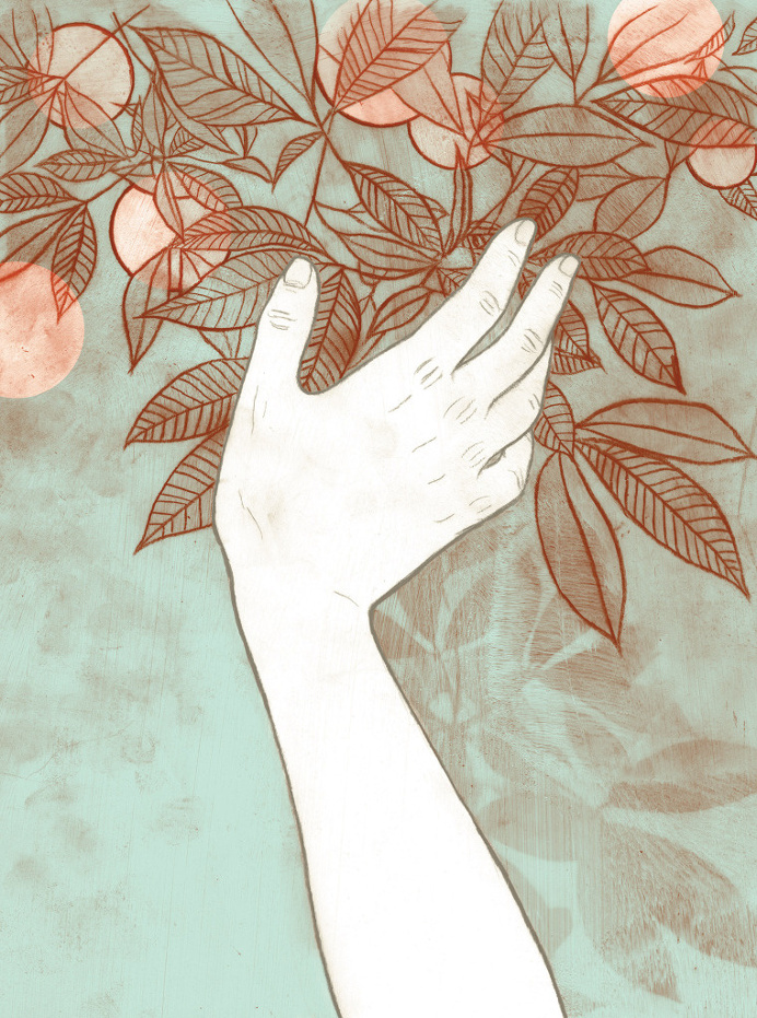 #illustration