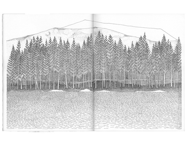 nigel peake #sketches #illustration #book