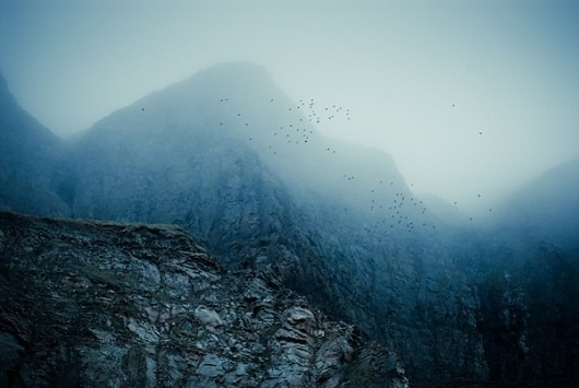 Kimmo Savolainen | PHOTO DONUTS DAILY INSPIRATION PHOTOGRAPHY #birds #mountain #fog