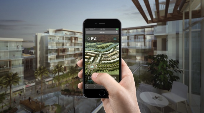 Pal Website Development