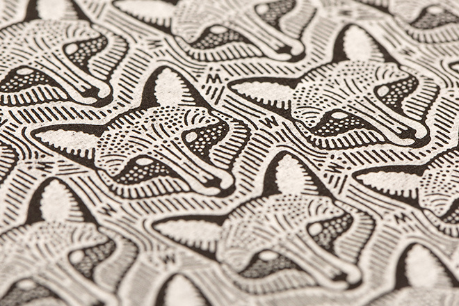 fox pattern