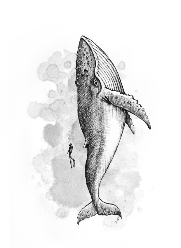 whale - Anastasis