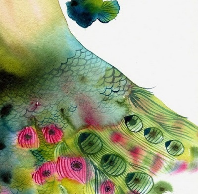 Decor Amor #peacock #color