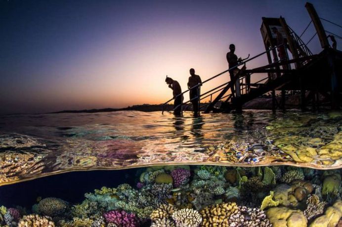 Sunset Snorkel by Brook Peterson