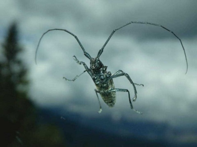 The Winners of the National Geographic Kids International Photography Contest