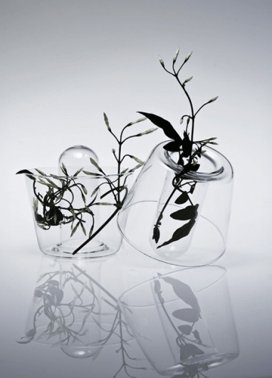 iainclaridge.net | Page 19 #glass #vase