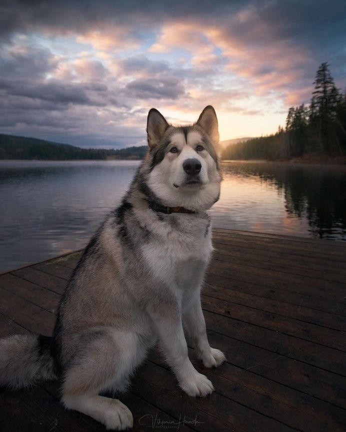 Stunning Landscape and Adventure Photography by Viktoria Haack