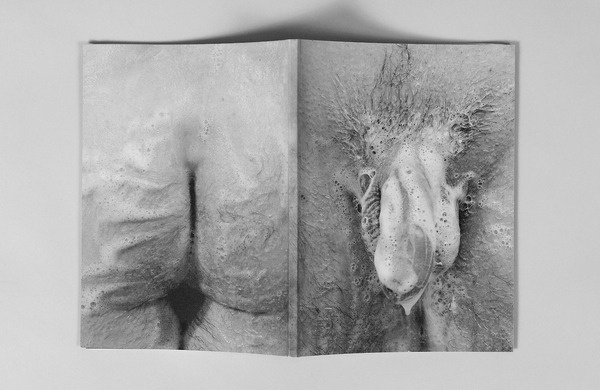 The book design: Photo #soap