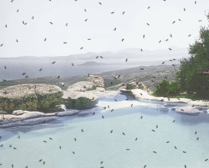 1 - Andrew B. Myers #photography #ants