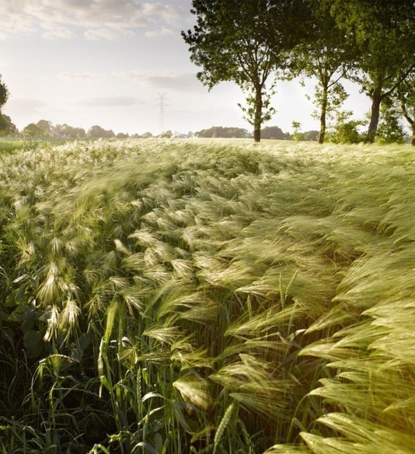 Landscape Photography by Jan Kornstaedt #inspiration #photography #landscape