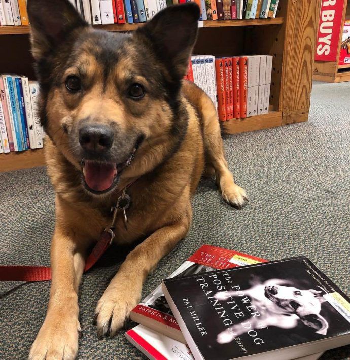 Most Dog Friendly Stores in America - Half Price Books