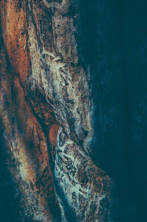 #woods #scandinavia