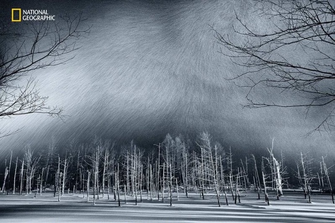 Spectacular Entries From the National Geographic Nature Photographer of the Year 2016