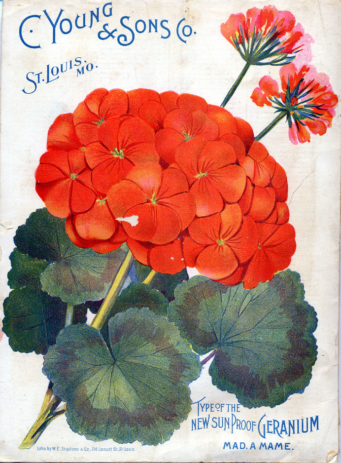 https://pollinateblog.files.wordpress.com/2015/03/sil08-09417-b.jpg