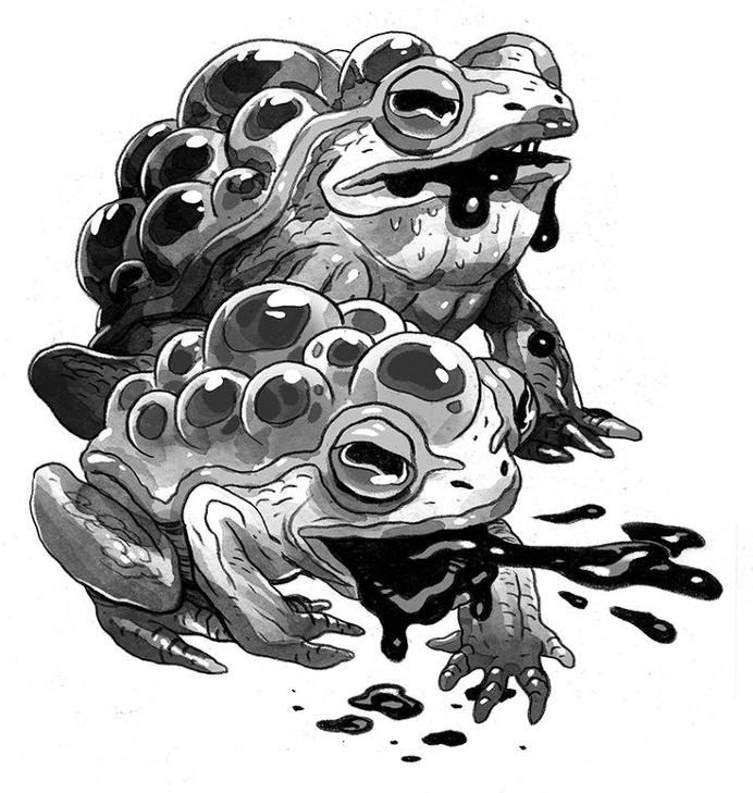 Sam Bosma