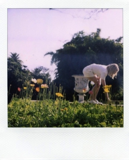 FLOWERS-4.jpg (1018×1255) #boy #campaign #of #outsiders #by #dunst #photography #kirsten #fashion #band