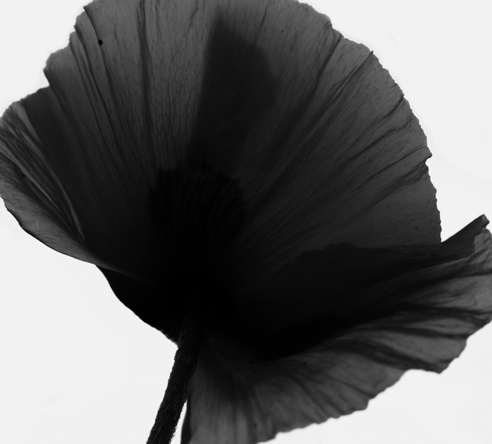 Daniel Benneworth-Gray