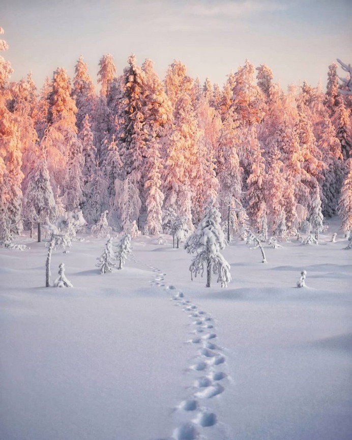 Mesmerizing Winter Wonderland Photos of Lapland in Finland