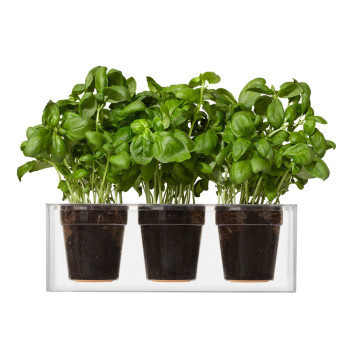 Stop watering your plant daily. With the Self-Watering Clear Cube Planter, you only water once a month. #design #industrial design #product
