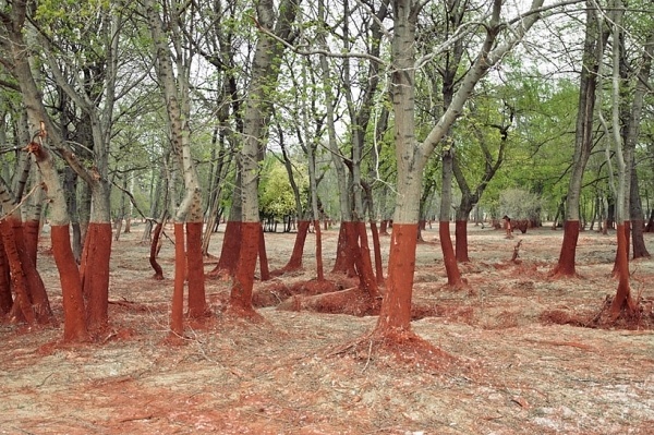photographs capture town stained red by hungary's 2010 toxic waste spill #photography