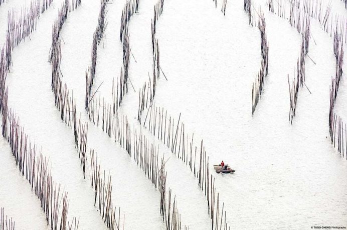 Unknown China: Coastal Geometries of Bamboo Worlds by Tugo Cheng